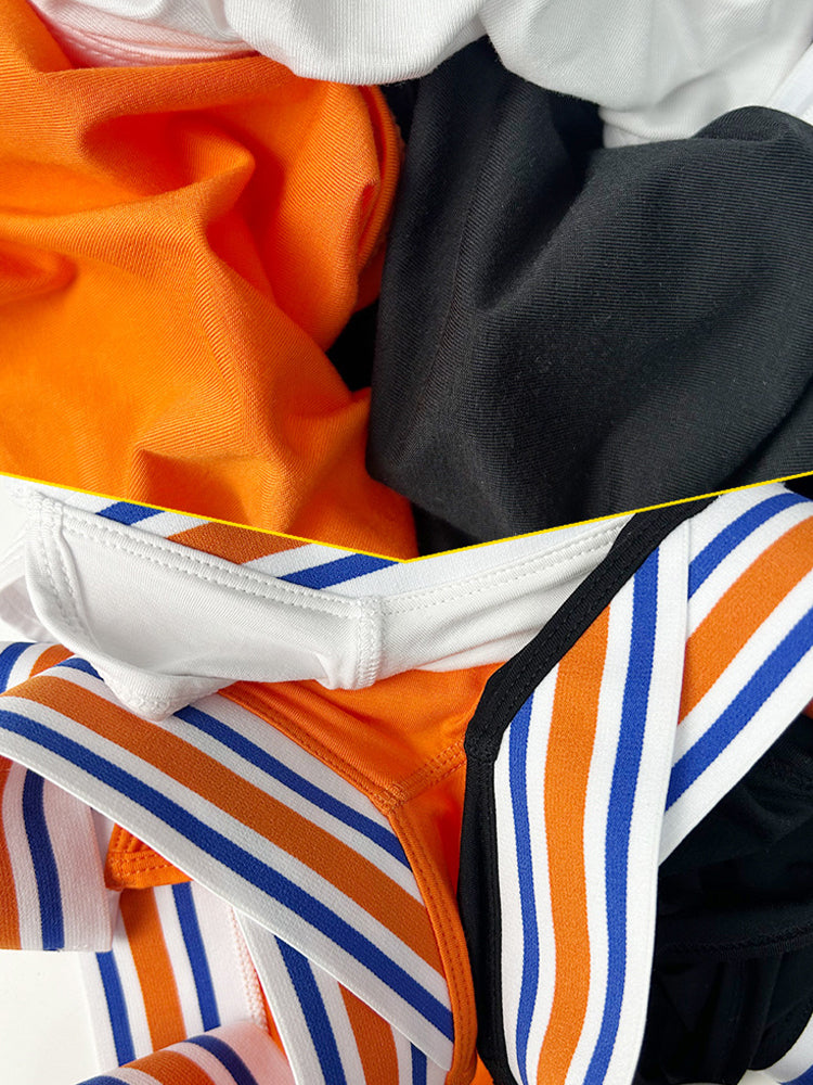 2-pack Men's Striped V-waist High-cut Briefs | dmunderwear detail image 15