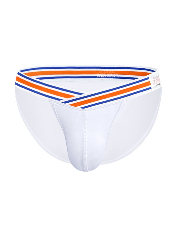 2-pack Men's Striped V-waist High-cut Briefs | dmunderwear detail image 16