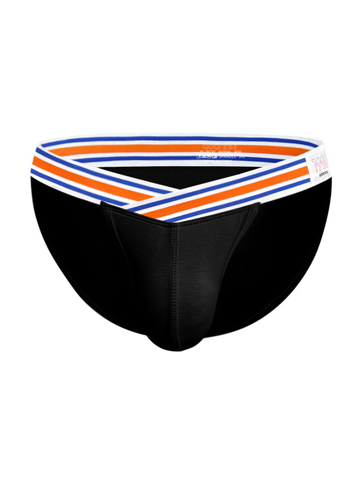 2-pack Men's Striped V-waist High-cut Briefs | dmunderwear detail image 17