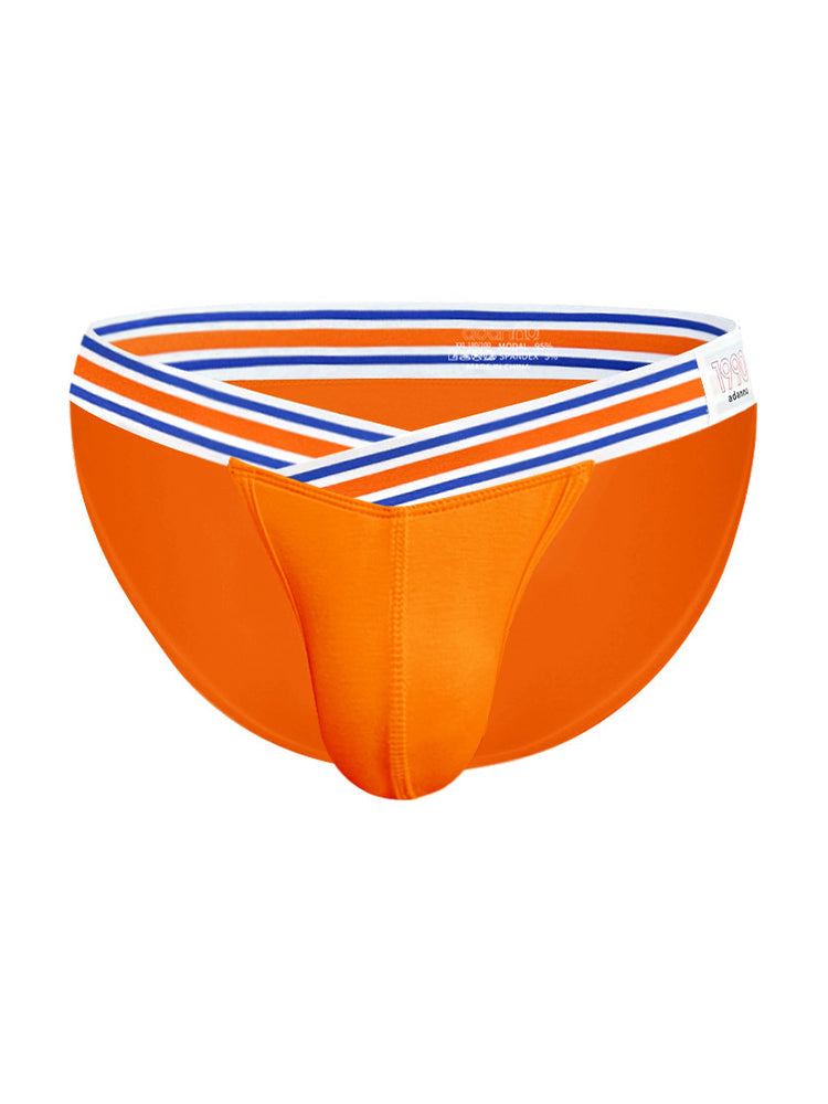 2-pack Men's Striped V-waist High-cut Briefs | dmunderwear detail image 18
