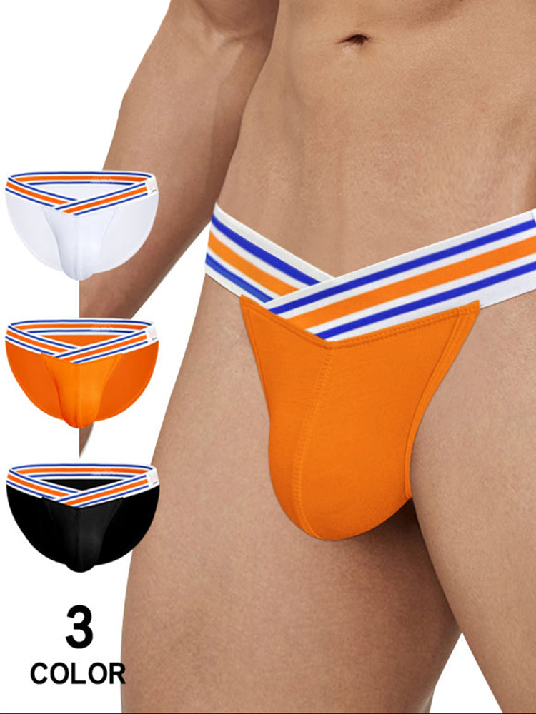 2-pack Men's Striped V-waist High-cut Briefs | dmunderwear detail image 3