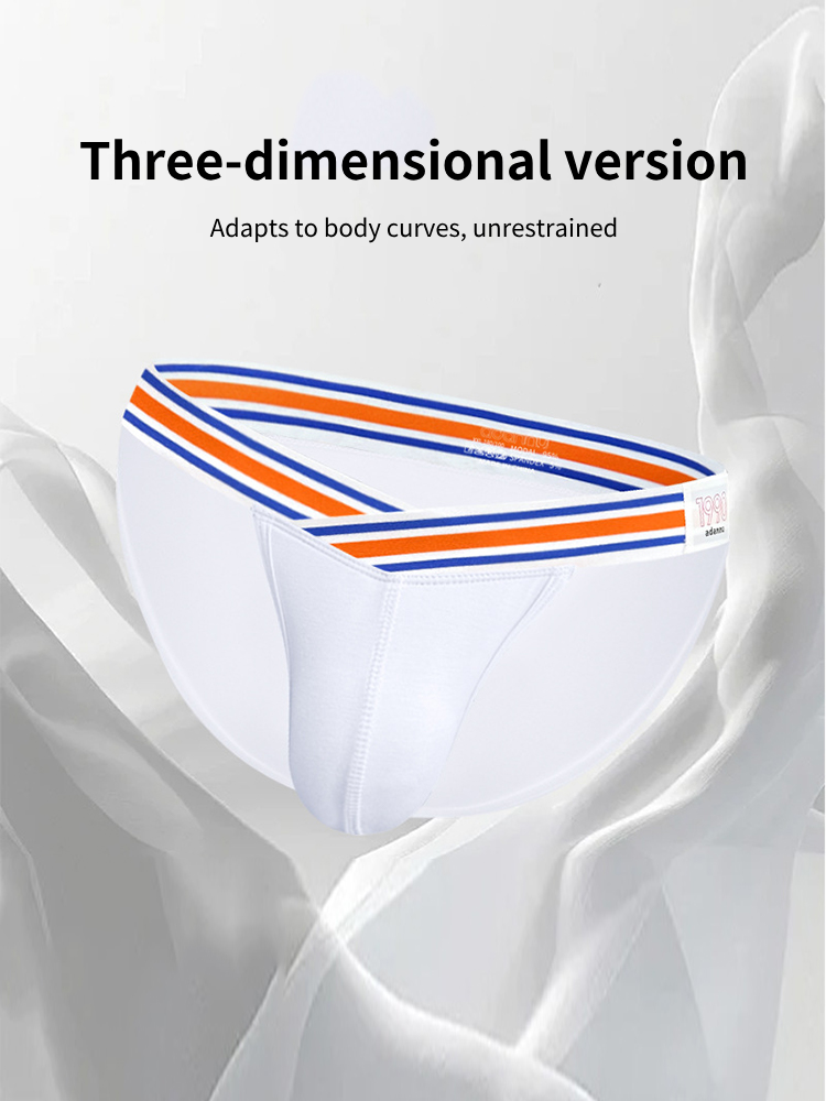 2-pack Men's Striped V-waist High-cut Briefs | dmunderwear detail image 6