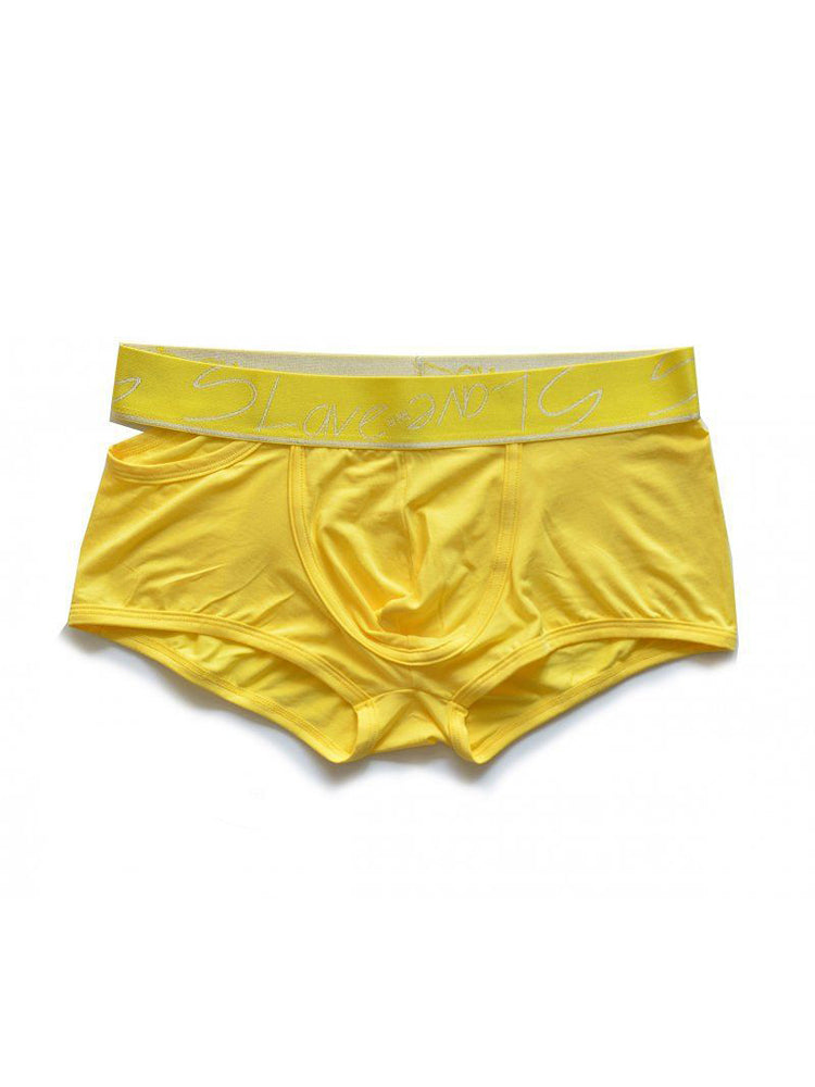 2 Pack Men's Stylish Breathable Modal Sports Trunks | dmunderwear