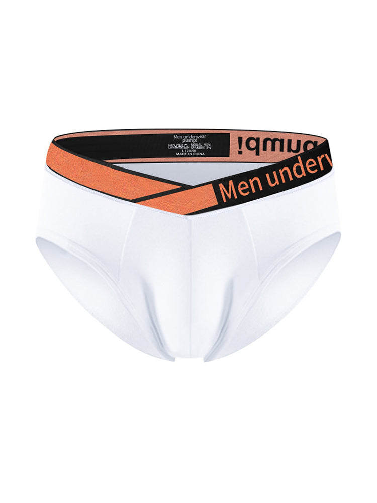 2 Pack Men's Stylish V-Shaped Waistband Briefs | dmunderwear
