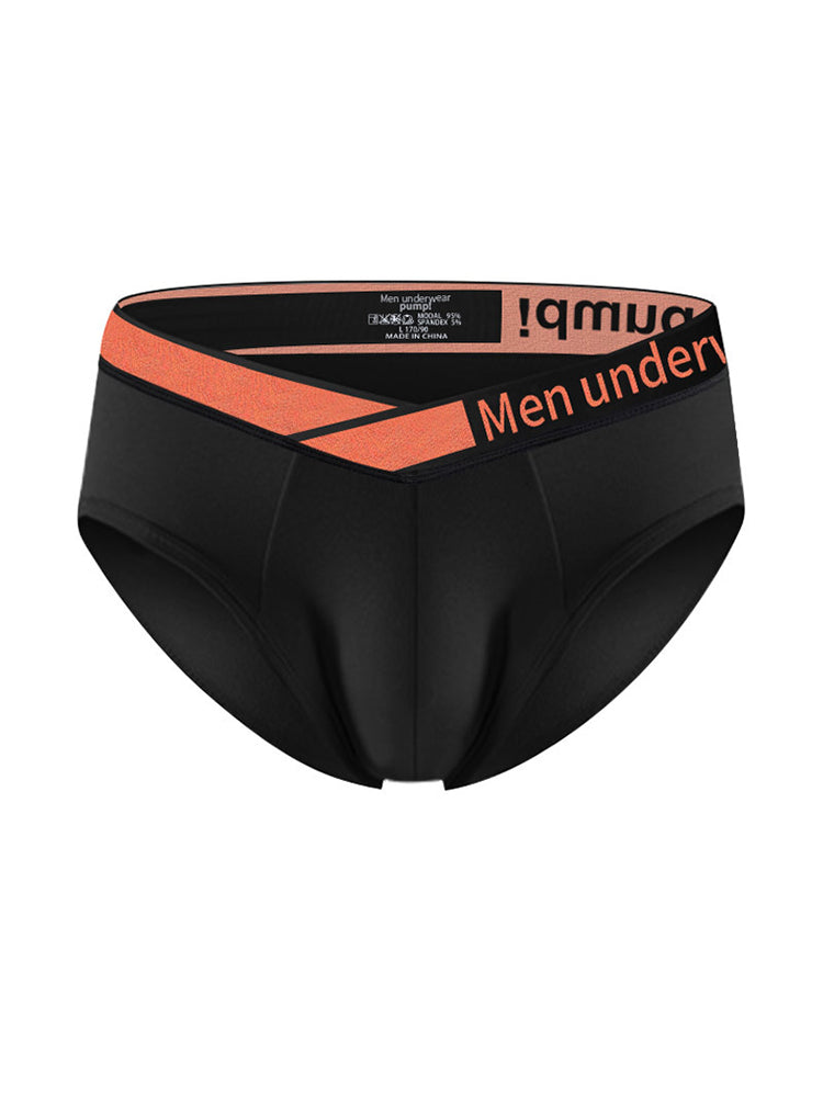 2 Pack Men's Stylish V-Shaped Waistband Briefs | dmunderwear detail image 10