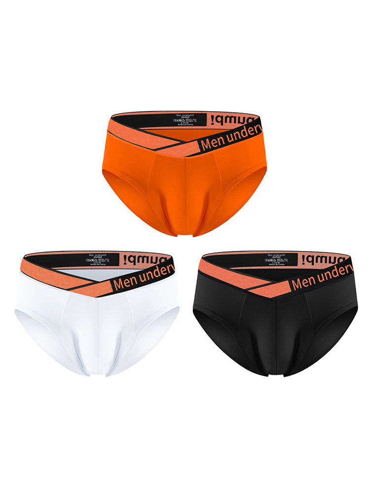 2 Pack Men's Stylish V-Shaped Waistband Briefs | dmunderwear detail image 11