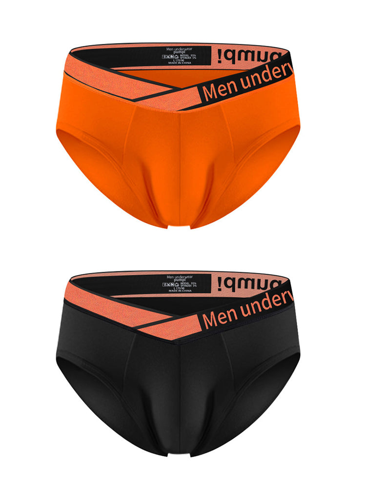 2 Pack Men's Stylish V-Shaped Waistband Briefs | dmunderwear detail image 12