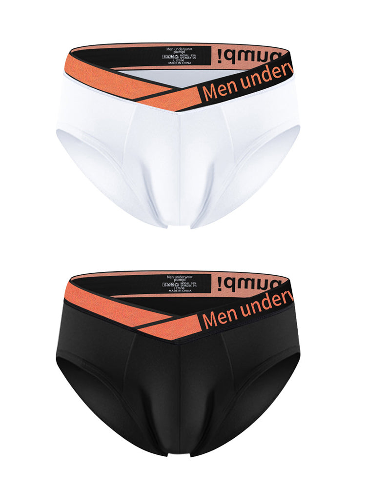 2 Pack Men's Stylish V-Shaped Waistband Briefs | dmunderwear detail image 2