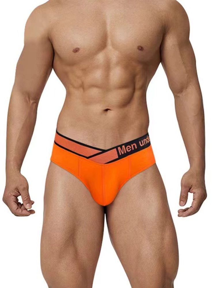 2 Pack Men's Stylish V-Shaped Waistband Briefs | dmunderwear detail image 3