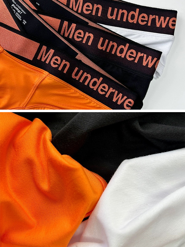 2 Pack Men's Stylish V-Shaped Waistband Briefs | dmunderwear detail image 4