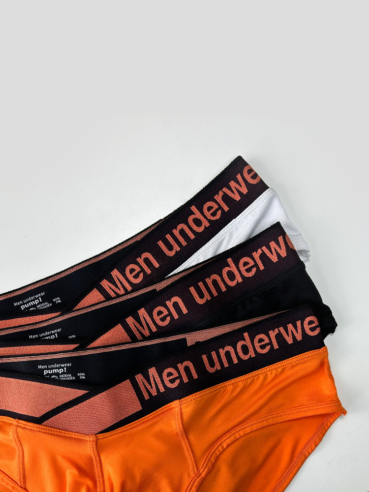2 Pack Men's Stylish V-Shaped Waistband Briefs | dmunderwear detail image 6
