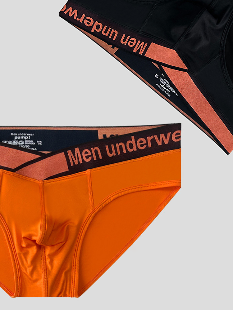 2 Pack Men's Stylish V-Shaped Waistband Briefs | dmunderwear detail image 7