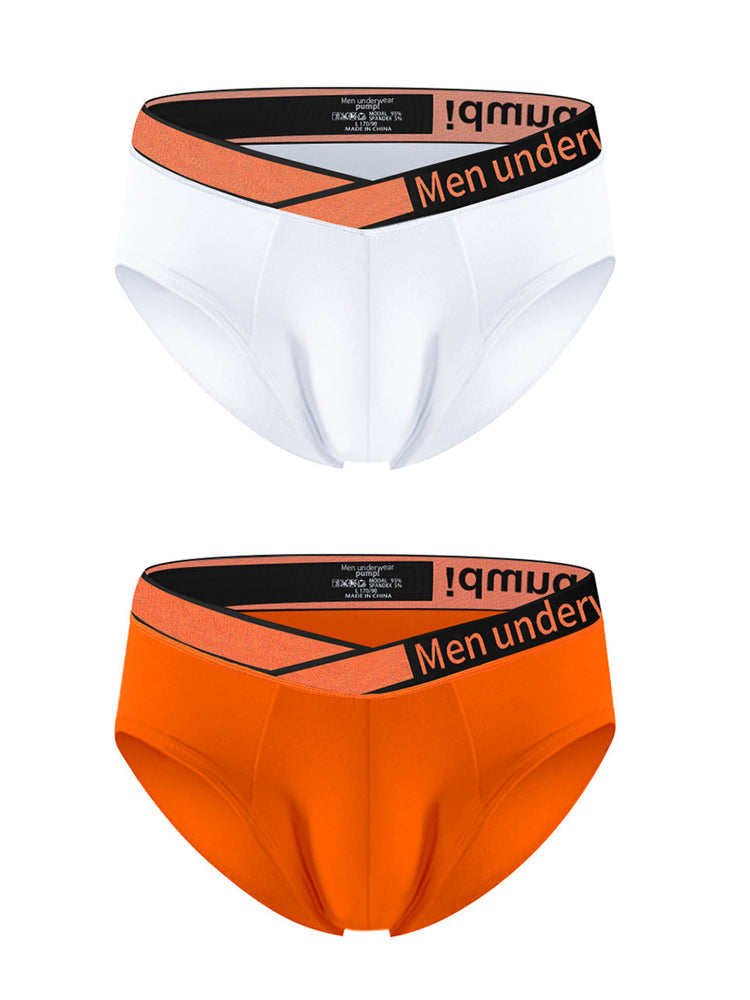 2 Pack Men's Stylish V-Shaped Waistband Briefs | dmunderwear detail image 8