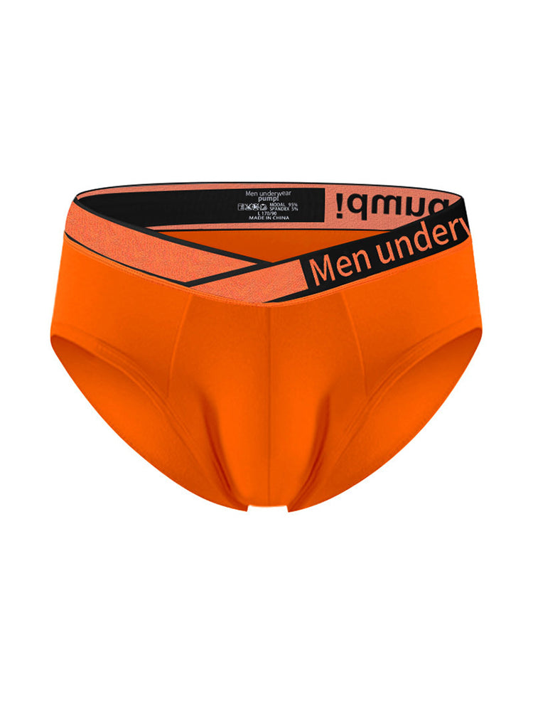 2 Pack Men's Stylish V-Shaped Waistband Briefs | dmunderwear detail image 9
