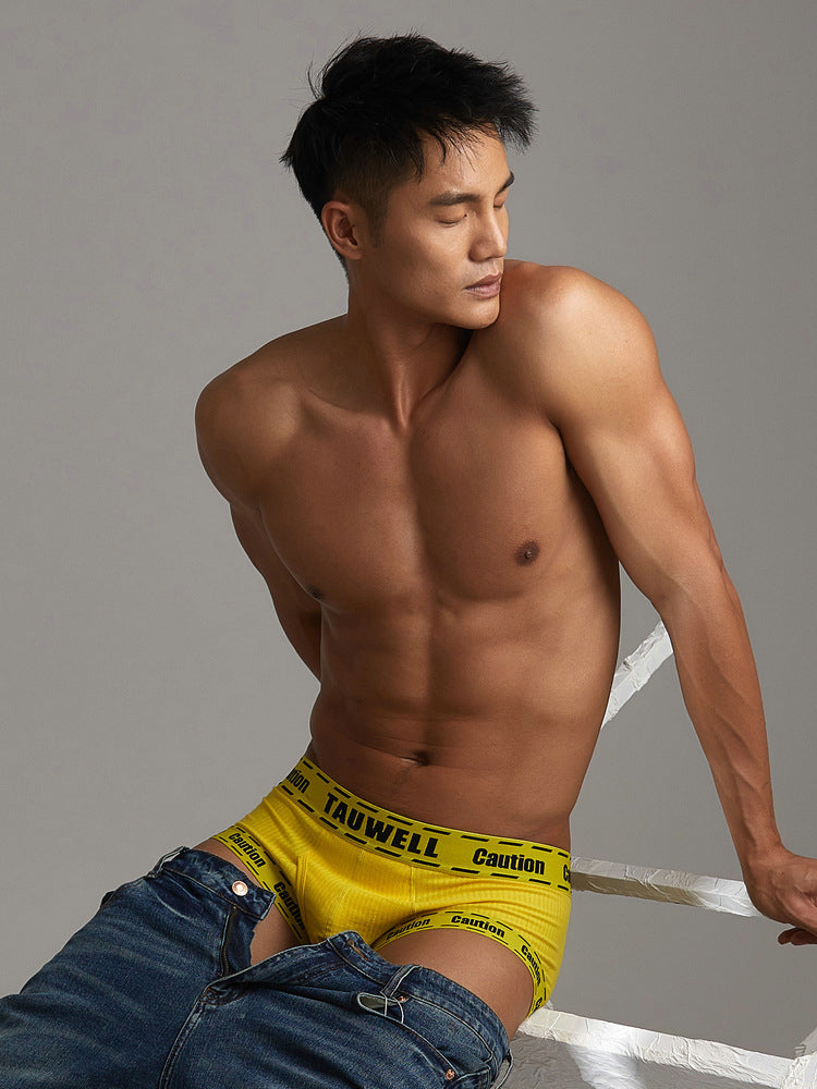 2 Pack Men's Supportive Pouch Low-Rise Trunks | dmunderwear detail image 10