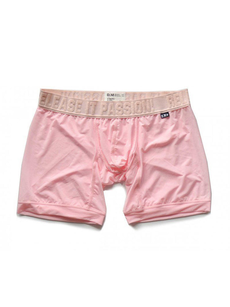 2 Pack Men's Trendy Breathable Ice Silk Boxer Briefs | dmunderwear
