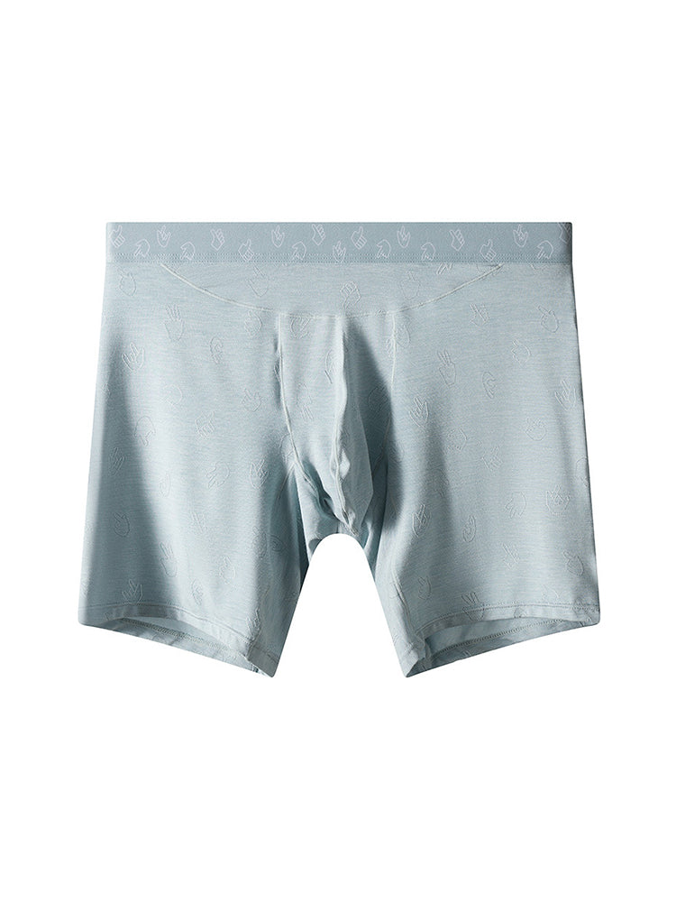 2 Pack Men's Ultra-Soft Mid-Rise High-Stretch Printed Boxers Briefs | dmunderwear