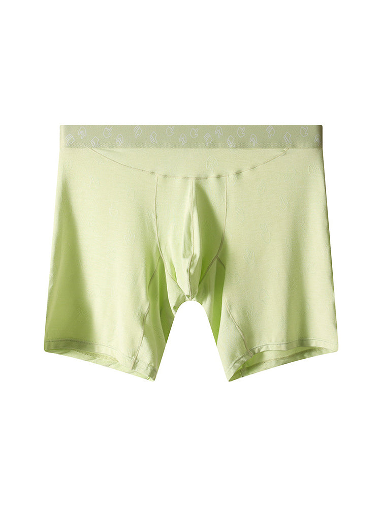 2 Pack Men's Ultra-Soft Mid-Rise High-Stretch Printed Boxers Briefs | dmunderwear detail image 17
