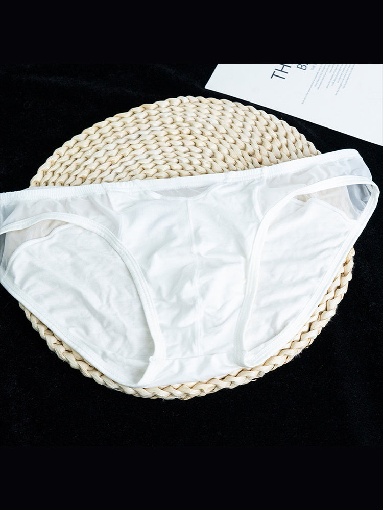 2 Pack Men's Ultra-Soft Modal Sheer Single-Layer Low-Rise Briefs | dmunderwear detail image 12