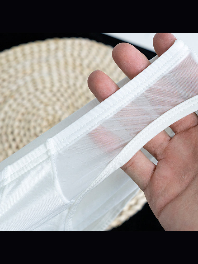 2 Pack Men's Ultra-Soft Modal Sheer Single-Layer Low-Rise Briefs | dmunderwear detail image 13