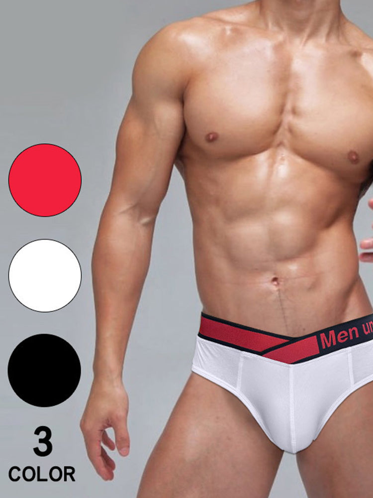 2 Pack Men's V Waistband Modal Briefs | dmunderwear