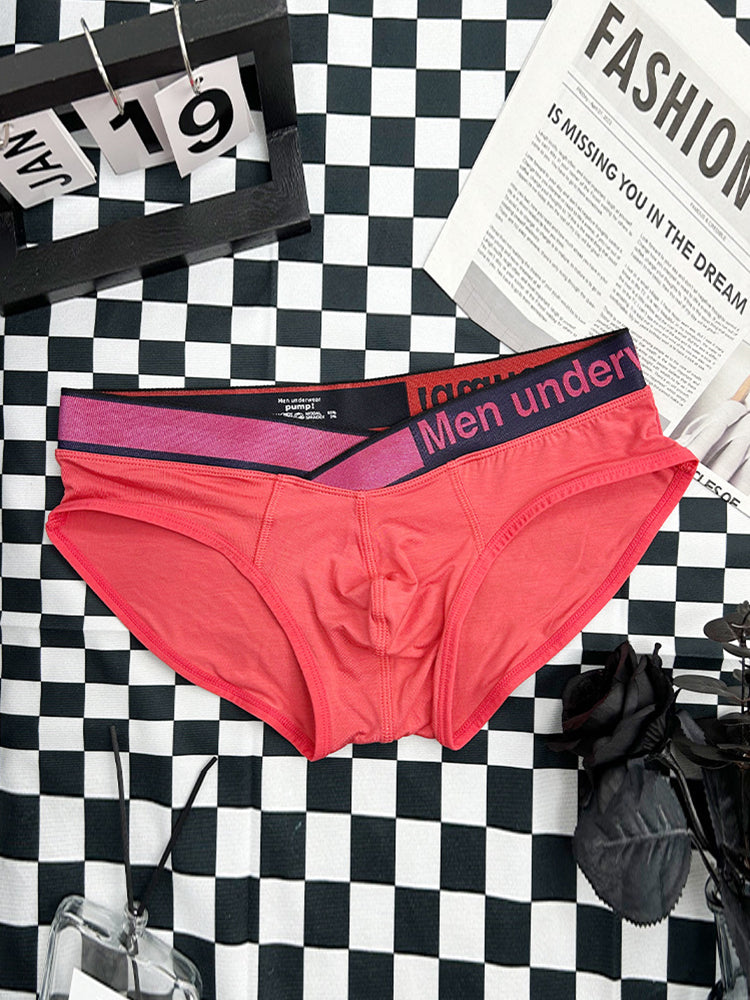 2 Pack Men's V Waistband Modal Briefs | dmunderwear detail image 3