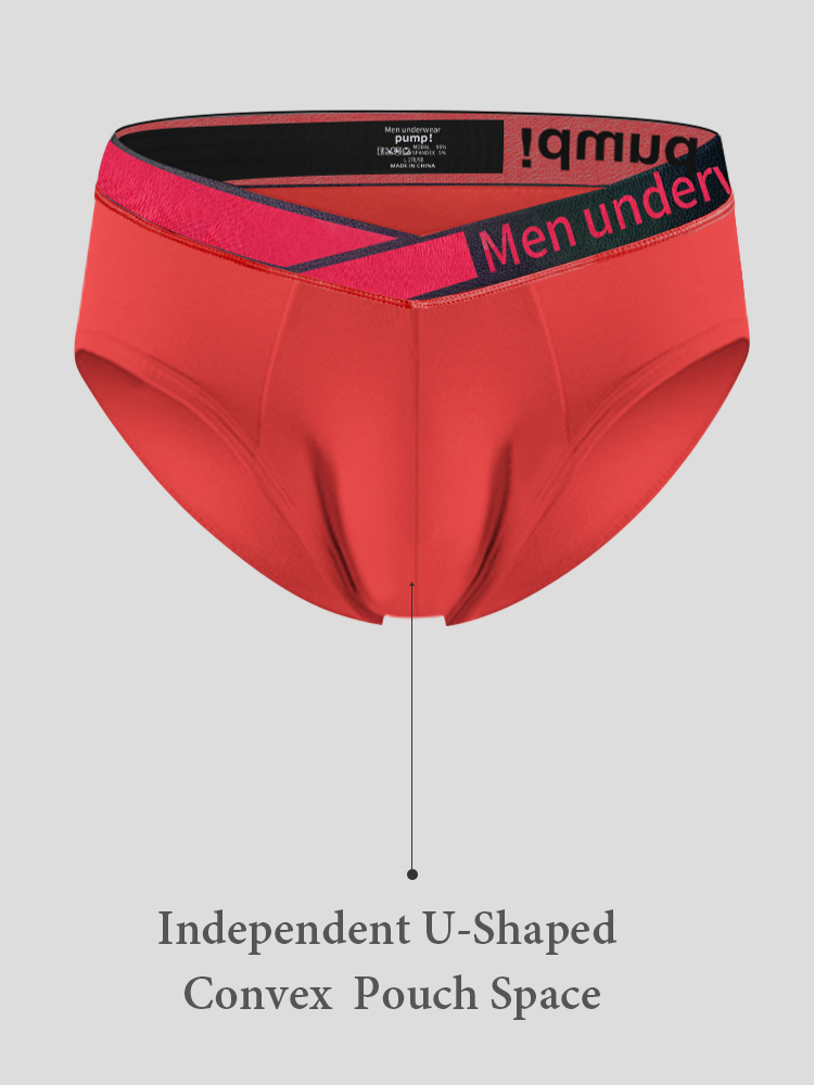 2 Pack Men's V Waistband Modal Briefs | dmunderwear detail image 4