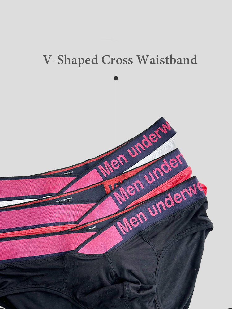 2 Pack Men's V Waistband Modal Briefs | dmunderwear detail image 5