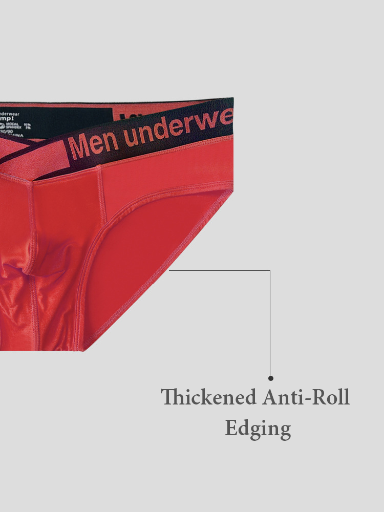2 Pack Men's V Waistband Modal Briefs | dmunderwear detail image 6