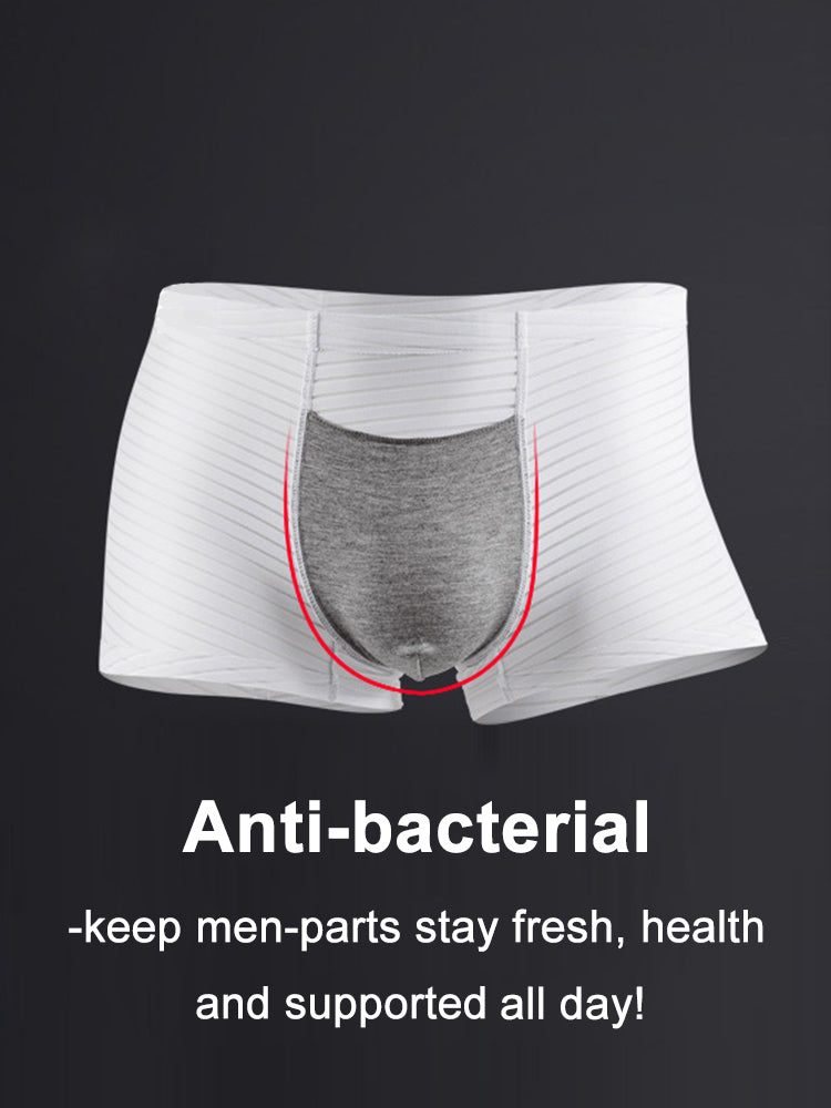 2 Pack Silk Striped Men's Super Thin Underwear | dmunderwear detail image 3