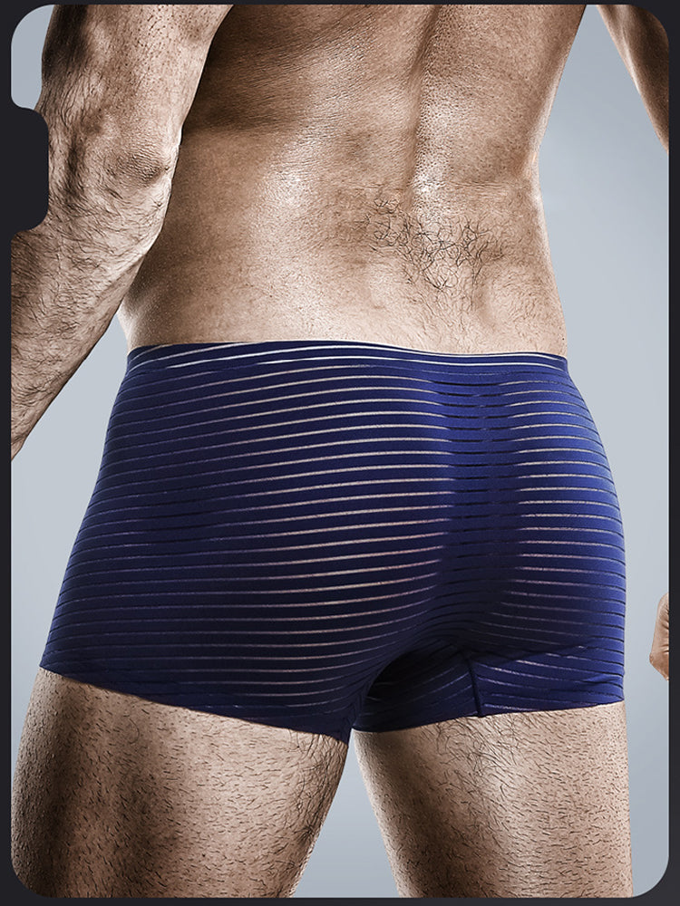 2 Pack Silk Striped Men's Super Thin Underwear | dmunderwear detail image 5