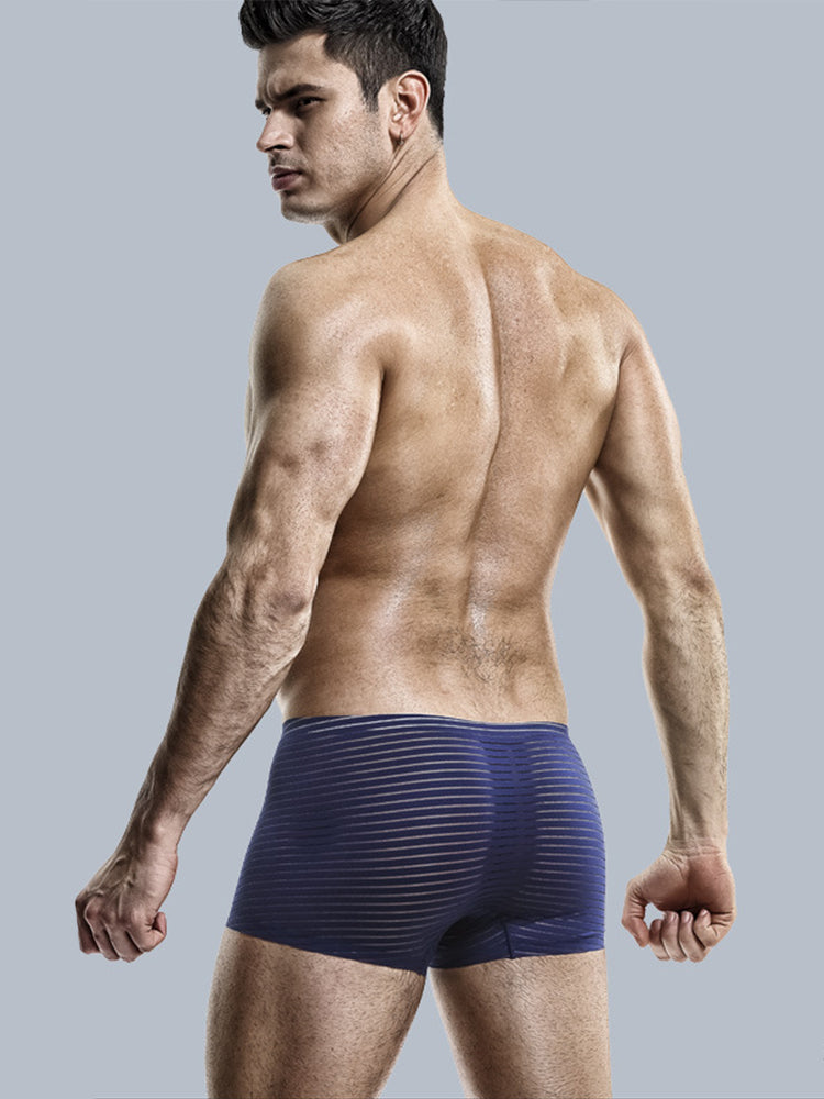 2 Pack Silk Striped Men's Super Thin Underwear | dmunderwear detail image 9