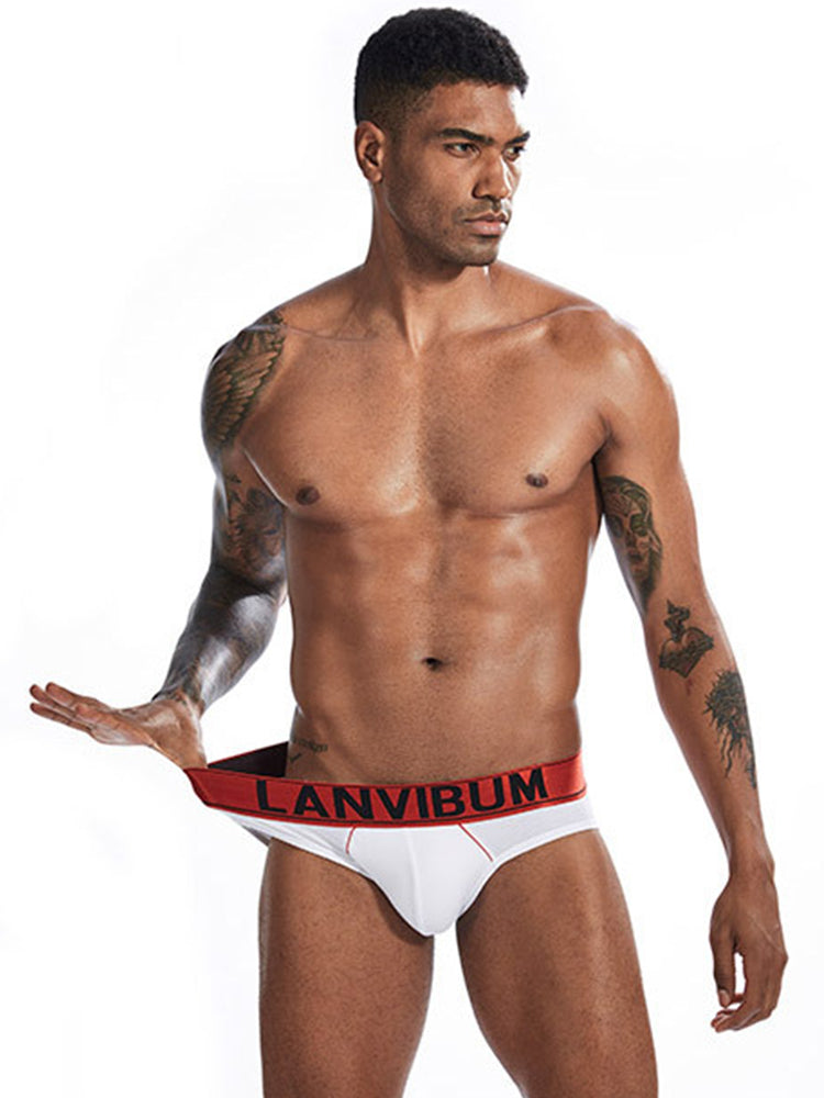 2 Pack U Convex Elastic Waistband Briefs | dmunderwear detail image 6