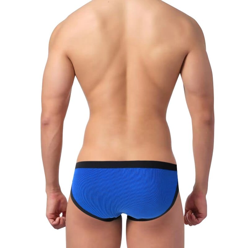 3 Pack Evolve Bikini | dmunderwear detail image 3