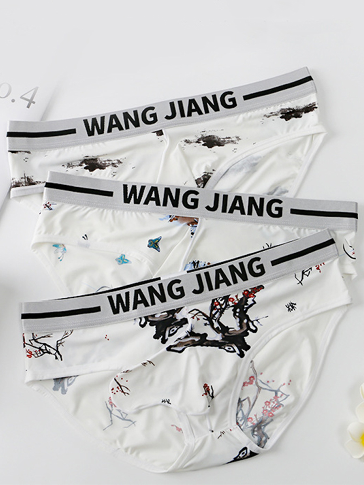 3 Pack Men's Ice Silk Dual Pouch Briefs | dmunderwear detail image 11