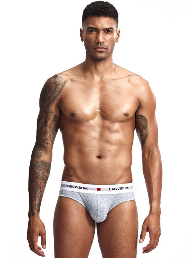 3 Pack Men's Breathable Big Pouch Briefs | dmunderwear detail image 14