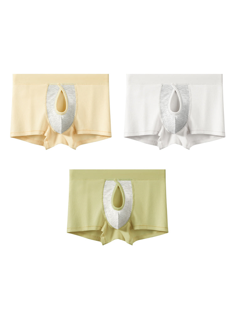 3 Pack Men's Breathable Comfort Double-Sided Access Soft Cotton Trunks | dmunderwear detail image 2