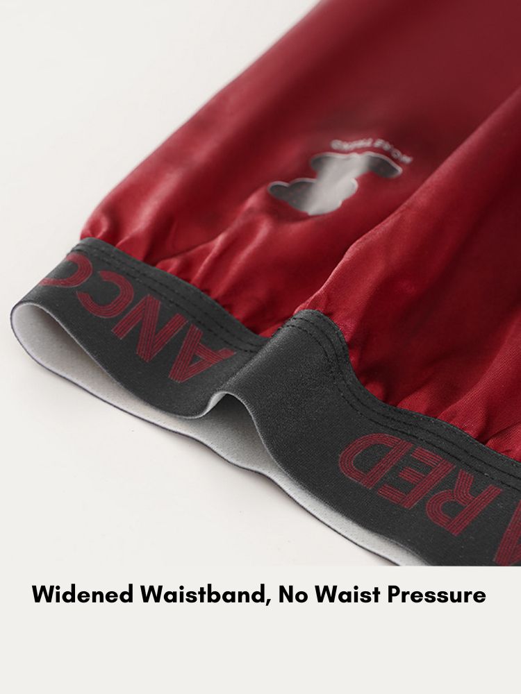 3 Pack Men's Comfy Waistband Odor-Control Ultra-Soft Boxer Briefs | dmunderwear detail image 3