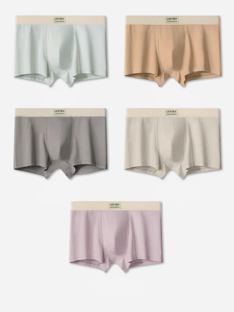 3 Pack Men's Cotton Mid-Rise Breathable Sports Tights Men's Boxer Briefs | dmunderwear detail image 16