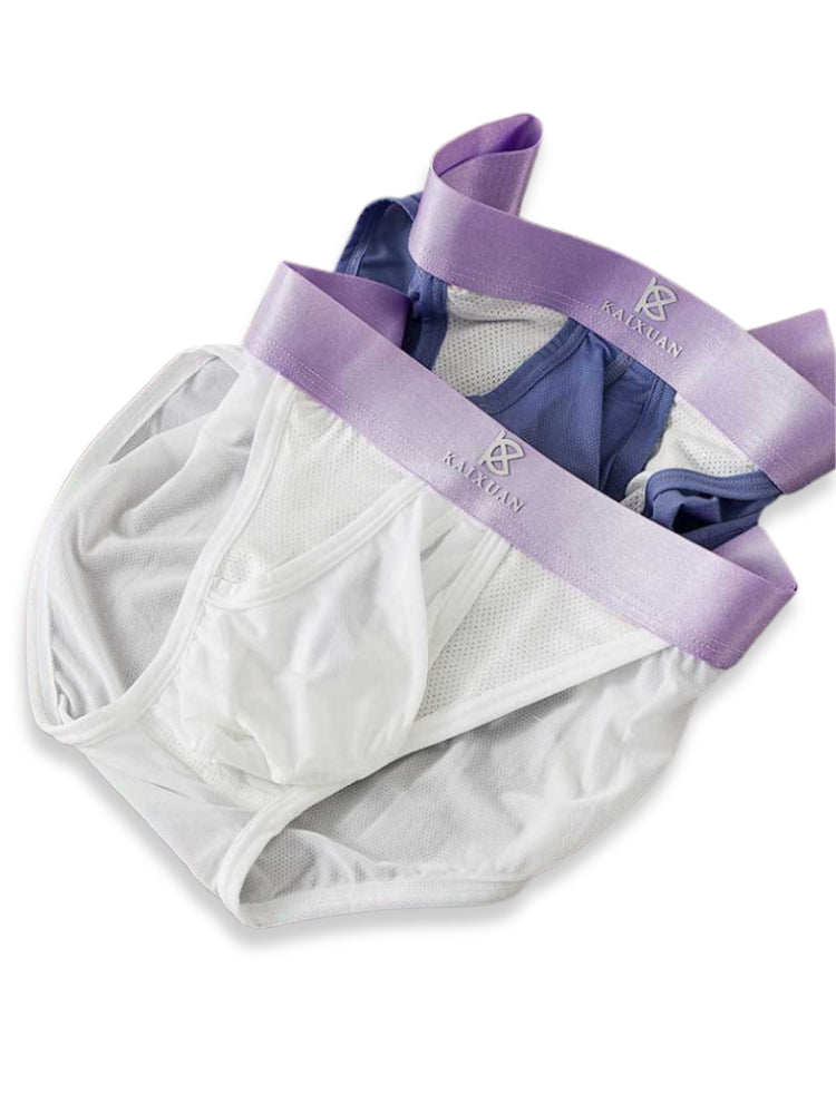 3 Pack Men's Ice Silk Breathable Mesh Low-Rise Classic Briefs | dmunderwear detail image 20