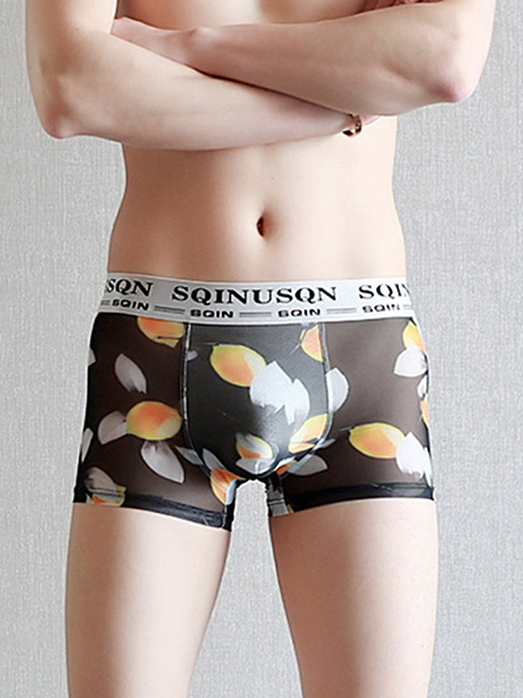 3 Pack Men's Ice Silk Mesh Breathable Printed Odor-Control Trunks | dmunderwear detail image 9
