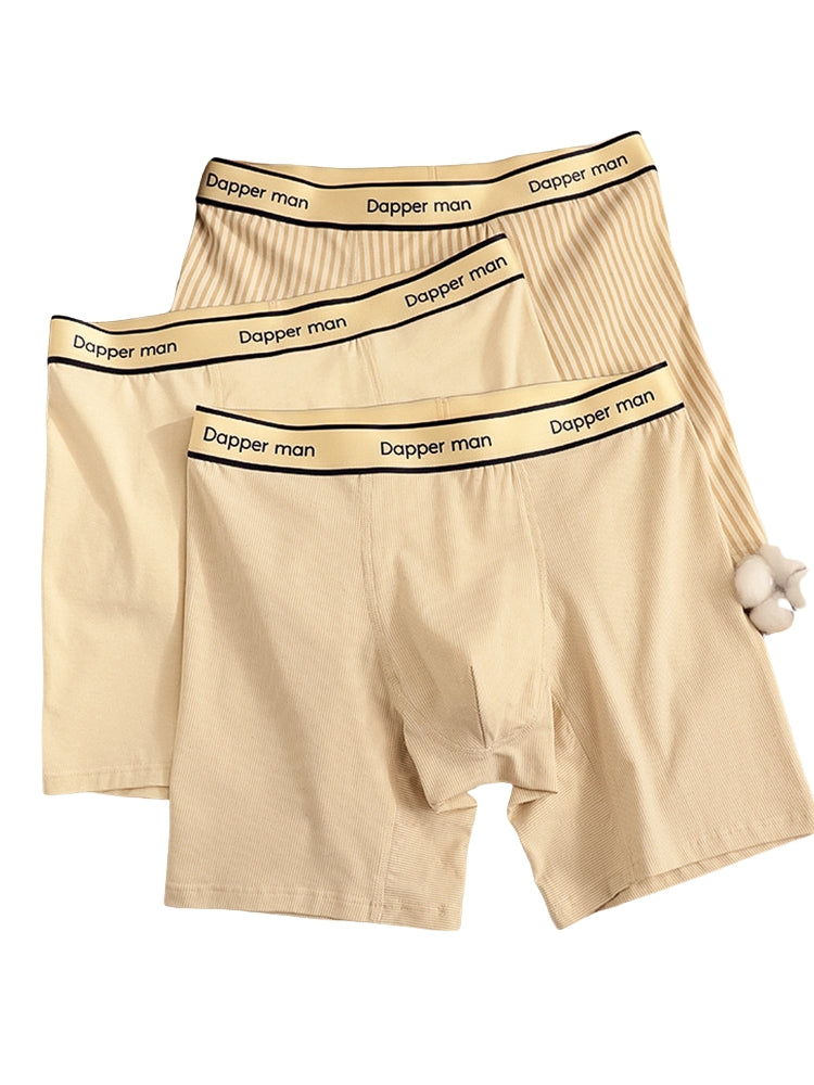 3 Pack Men's Premium Breathable Cotton Striped Design Seamless Comfort Boxers Briefs | dmunderwear
