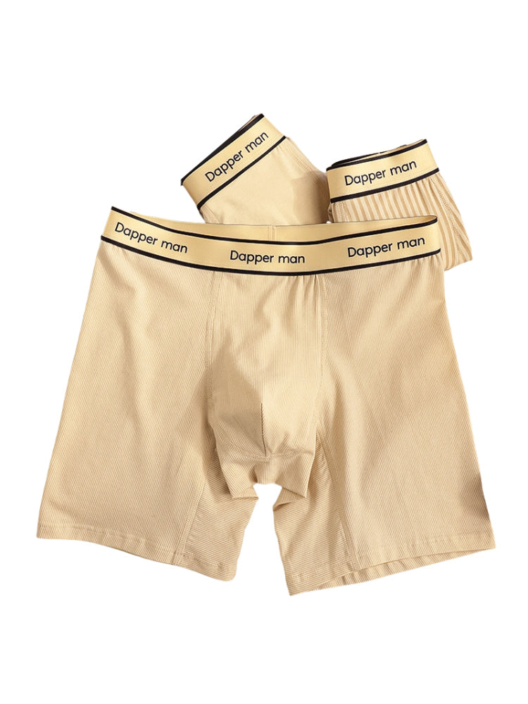 3 Pack Men's Premium Breathable Cotton Striped Design Seamless Comfort Boxers Briefs | dmunderwear detail image 12