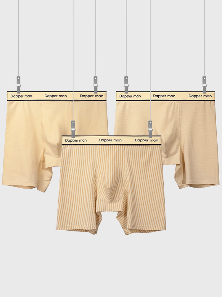 3 Pack Men's Premium Breathable Cotton Striped Design Seamless Comfort Boxers Briefs | dmunderwear detail image 14