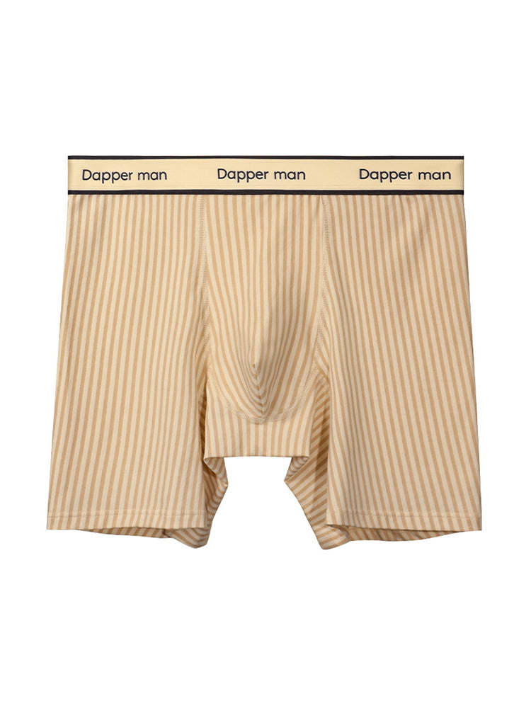 3 Pack Men's Premium Breathable Cotton Striped Design Seamless Comfort Boxers Briefs | dmunderwear detail image 15