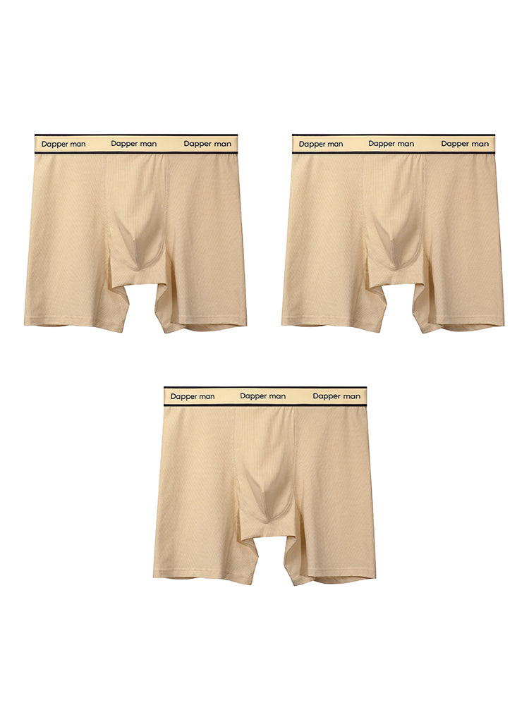 3 Pack Men's Premium Breathable Cotton Striped Design Seamless Comfort Boxers Briefs | dmunderwear detail image 16