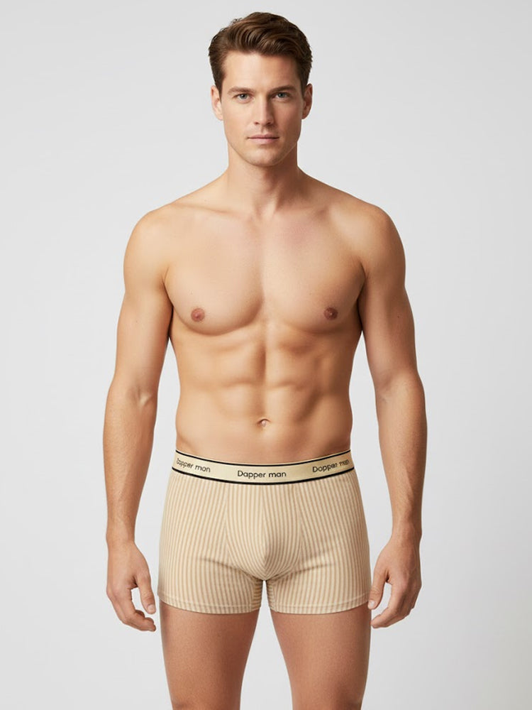 3 Pack Men's Premium Breathable Cotton Striped Design Seamless Comfort Boxers Briefs | dmunderwear detail image 3