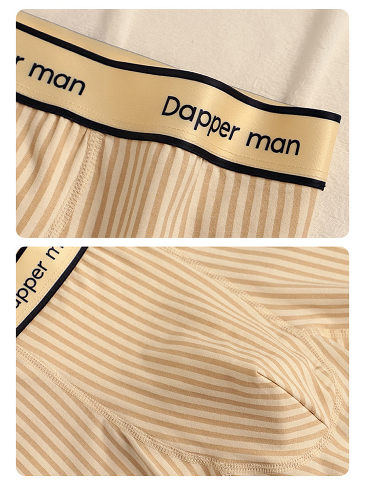 3 Pack Men's Premium Breathable Cotton Striped Design Seamless Comfort Boxers Briefs | dmunderwear detail image 4