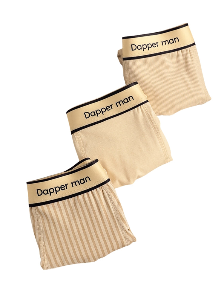 3 Pack Men's Premium Breathable Cotton Striped Design Seamless Comfort Boxers Briefs | dmunderwear detail image 7