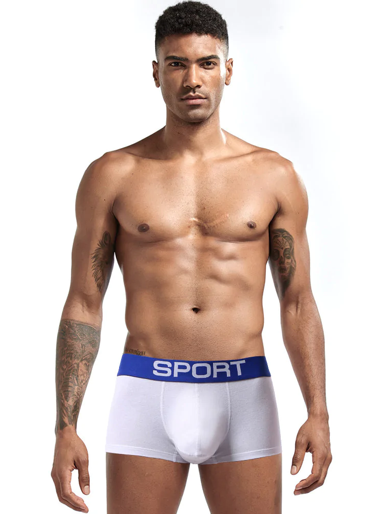 3 Pack Mens Sculpt Bulge Shape Support Pouch Underwear | dmunderwear